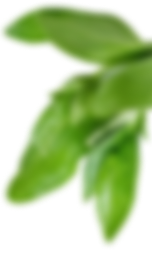 decor-6