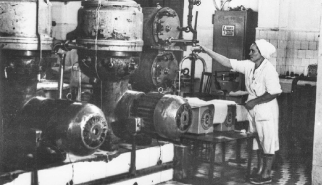 1954
